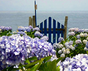 Hotel Archondissa Beach