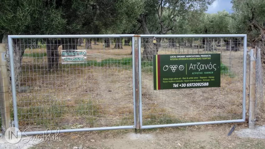 Ferma Atzanos
