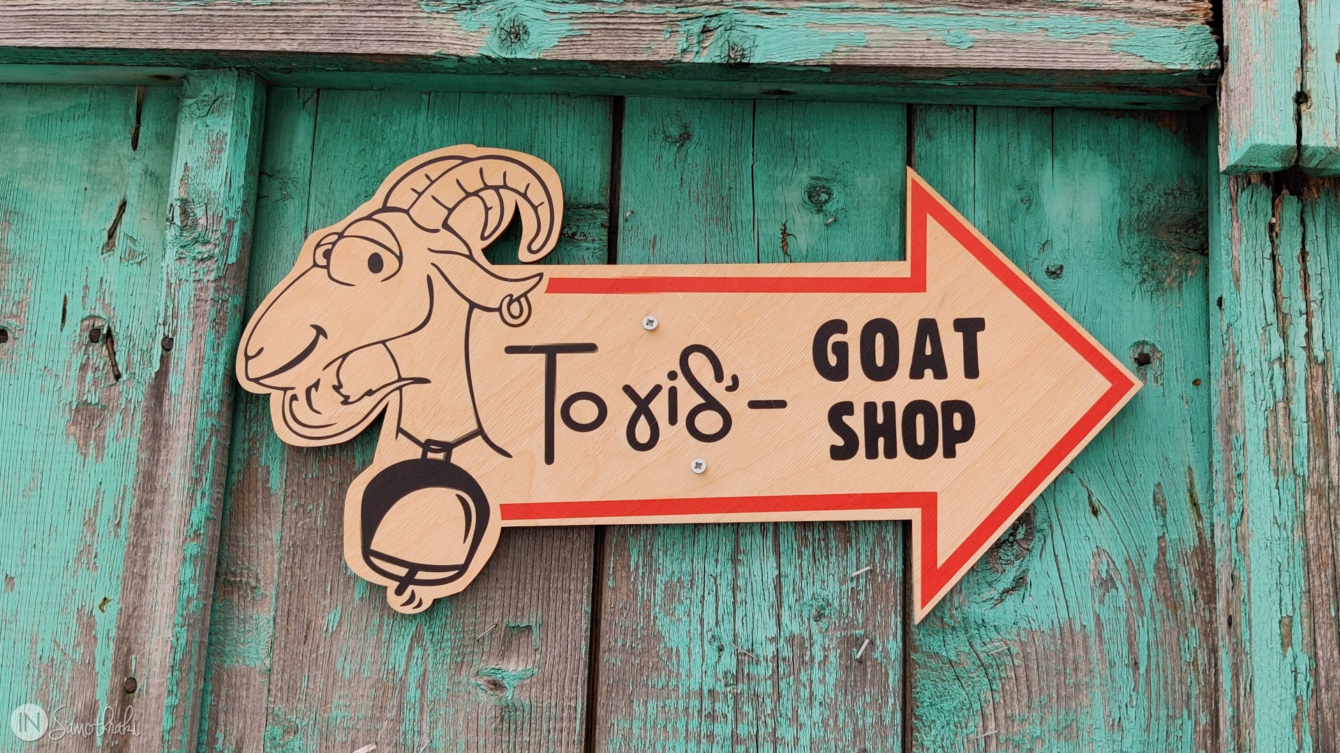 To Gid' - Goat Shop, magazinul cu căprițe