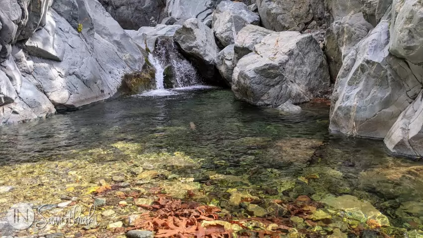&Icirc;n vathre cad frunze galben-roșiatice.