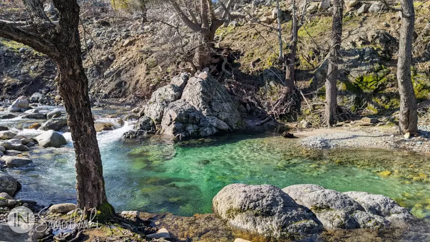 &Icirc;n zilele cu soare apa r&acirc;urilor este de un verde strălucitor.