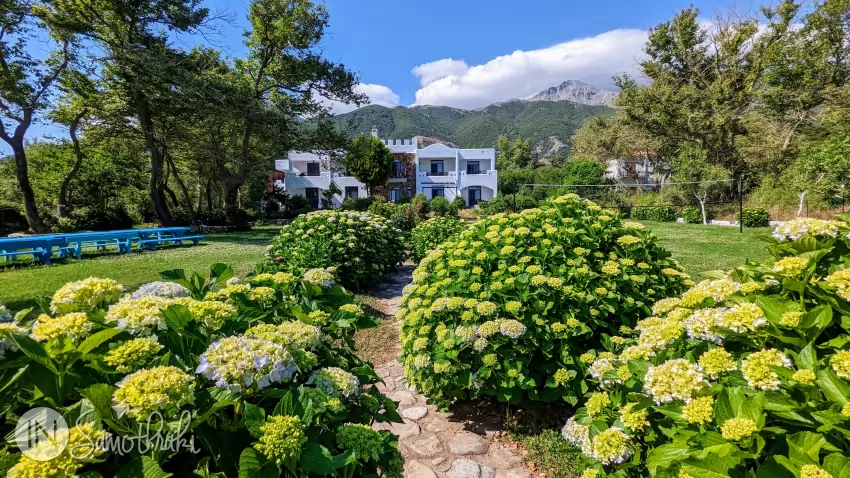 Vederea spre munte, înainte de înflorirea hortensiilor
