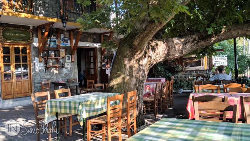 Terasa tavernei este ascunsă sub platani bătrâni
