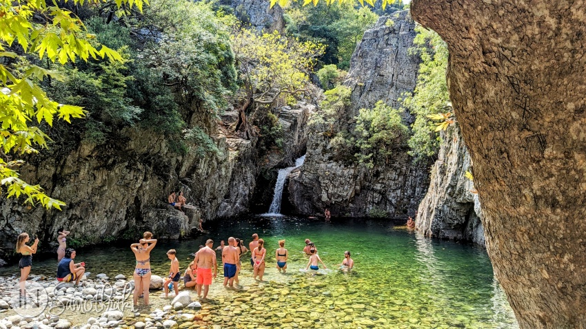 Gerania în timpul verii