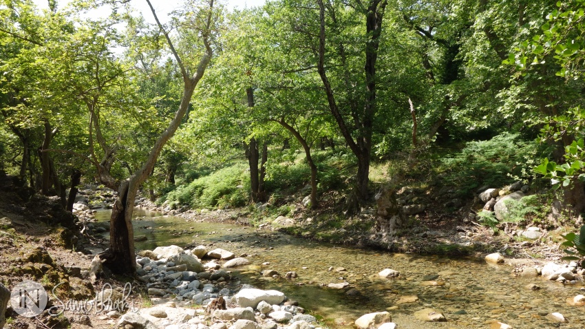 Traseul merge prin stânga, de-a lungul râului Fonias.