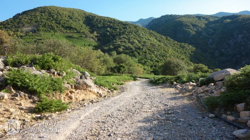 Din șoseaua principală, drumul urcă ușor spre poalele muntelui