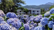 Hotel Archondissa &ndash; Acasă, &icirc;n Samothraki