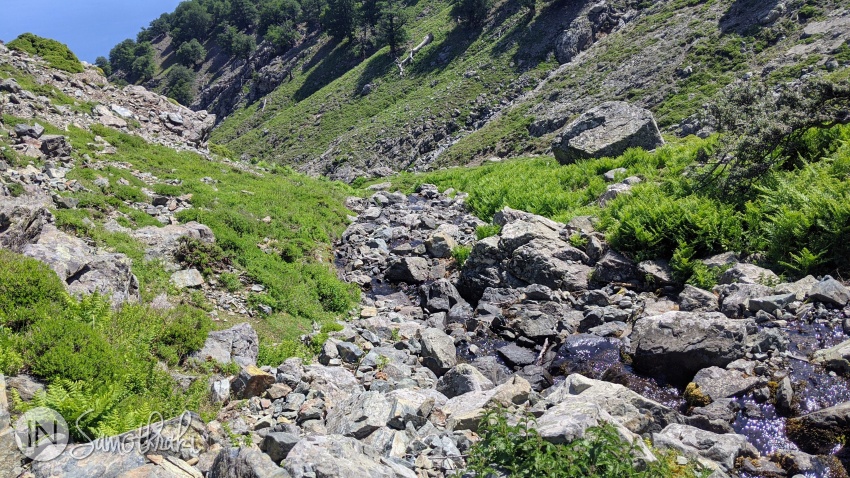 Poteca coboară în valea râului.