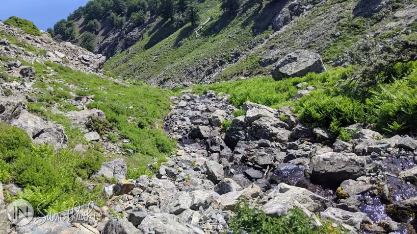 Poteca coboară în valea râului.