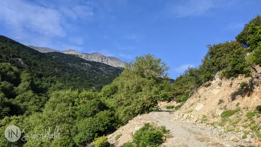 Bolovanii sunt tot mai prezenți pe drum.