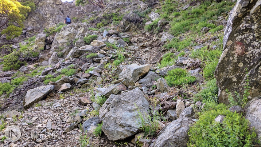 Apoi, poteca urcă abrupt.