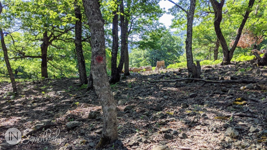 Semnele de E6 sunt intercalate cu bulinele roșii.