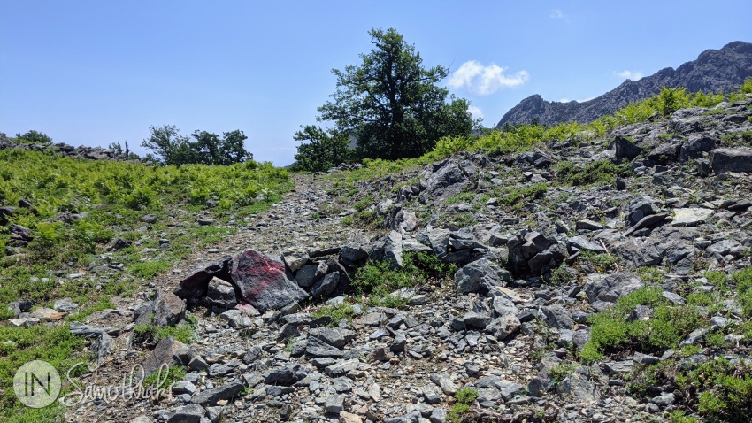 Poteca urcă spre dreapta și vegetația devine tot mai rară.